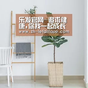 产品名称六