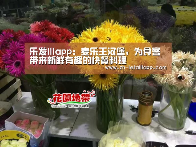 乐发lllapp:麦乐王汉堡,为食客带来新鲜有趣的快餐料理(图4) 乐发lllapp