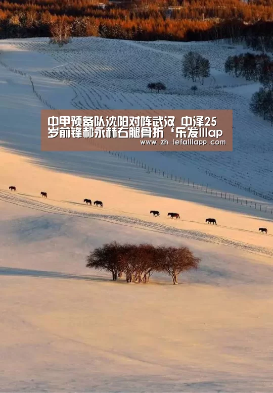 中甲预备队沈阳对阵武汉 中泽25岁前锋郝永赫右腿骨折‘乐发lllapp’(图4) 乐发lllapp
