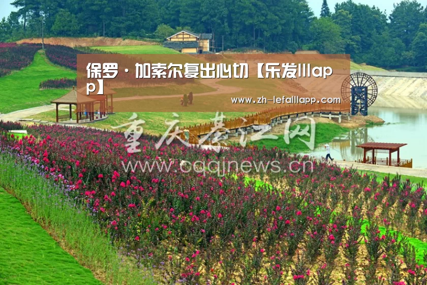保罗·加索尔复出心切【乐发lllapp】(图1) 乐发lllapp