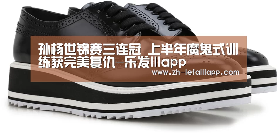 孙杨世锦赛三连冠 上半年魔鬼式训练获完美复仇-乐发lllapp(图1) 乐发lllapp