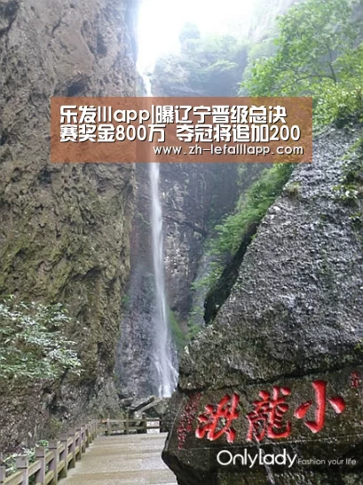 乐发lllapp|曝辽宁晋级总决赛奖金800万 夺冠将追加200万(图1) 乐发lllapp