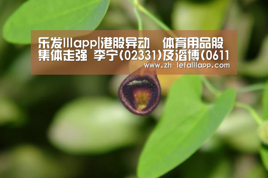 乐发lllapp|港股异动︱体育用品股集体走强 李宁(02331)及滔博(06110)股价齐创新高(图4) 乐发lllapp