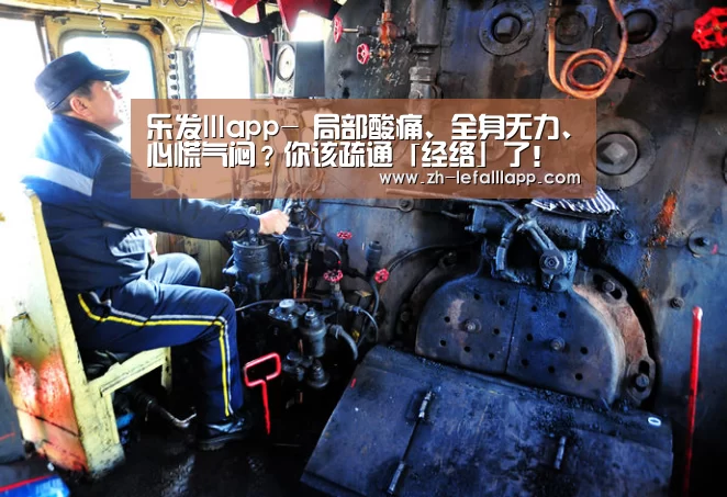 乐发lllapp-
局部酸痛、全身无力、心慌气闷?你该疏通「经络」了!(图1) 乐发lllapp