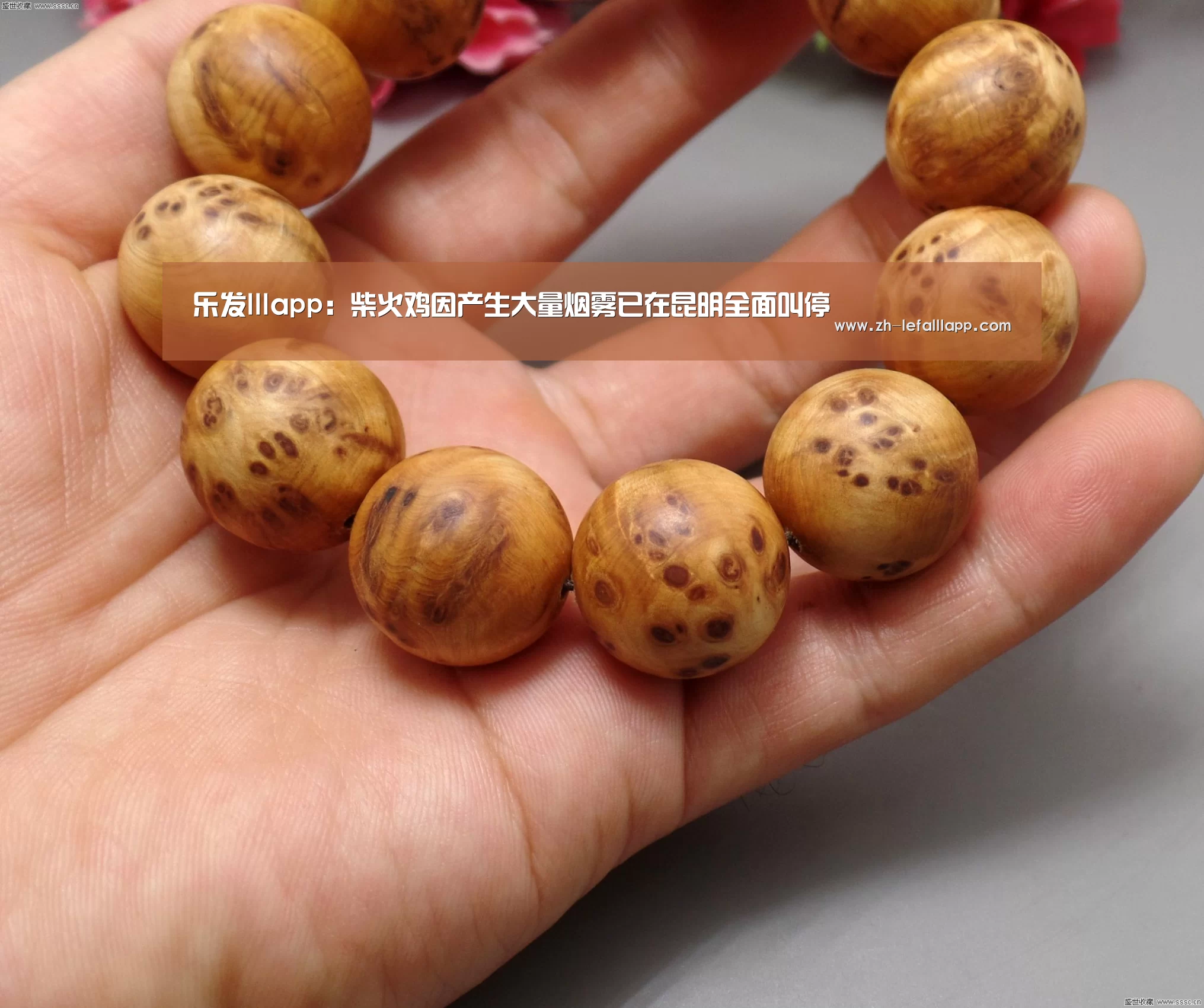 乐发lllapp:柴火鸡因产生大量烟雾已在昆明全面叫停(图1) 乐发lllapp