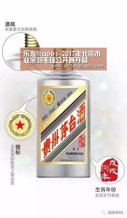 乐发lllapp:2017年北京市业余羽毛球公开赛开幕(图4) 乐发lllapp