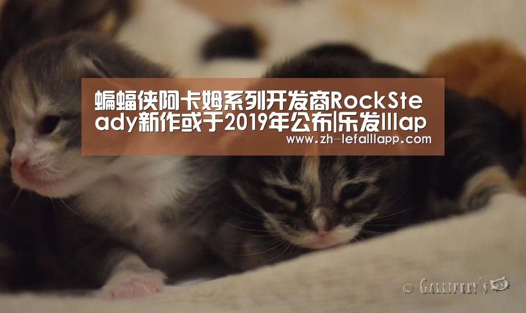 蝙蝠侠阿卡姆系列开发商RockSteady新作或于2019年公布|乐发lllapp(图2) 乐发lllapp