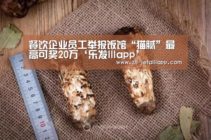 餐饮企业员工举报饭馆“猫腻”最高可奖20万‘乐发lllapp’(图2) 乐发lllapp