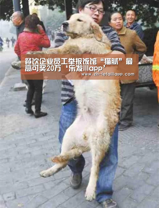 餐饮企业员工举报饭馆“猫腻”最高可奖20万‘乐发lllapp’(图1) 乐发lllapp