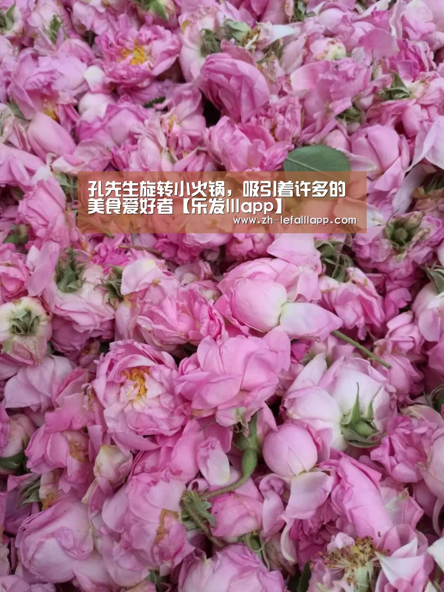 乐发lllapp